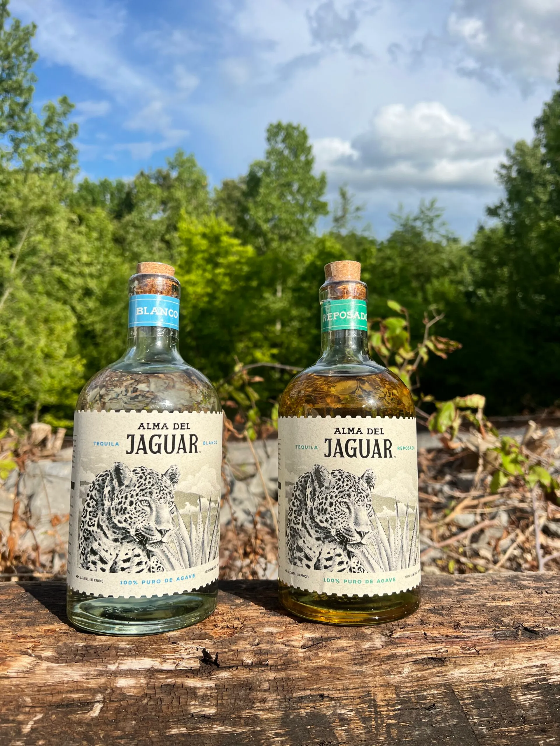A photo of Alma del Jaguar tequila for sale now at 931 Wine + Spirts. Try blanco and reposado today.